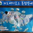 4월5일 저도 비치로드(용두산) 산행합니다. 이미지