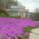 마을회관앞 이미지