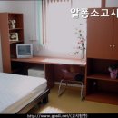 알퐁소고시원