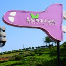 옥토끼우주센터 이미지