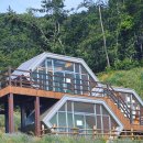 [익산여행] 익산 힐링 여행 코스 추천! 국내 최북단 야생 녹차밭과 국립익산치유의숲