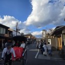 대나무 | 교토 여행 아라시야마 치쿠린 대나무숲 가본 후기