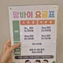 부산애견호텔 강아지 유치원 맘바이 서면본점 네이버블로그