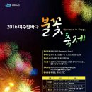 여수불꽃 축제벙개 8월13일 이미지