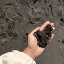 휘석지질 이미지