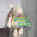 젤리캣 애착인형 내돈내산 후기 젤리캣 세탁 방법 젤리캣 버니 M 크림 실물