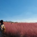 아늑호텔앤스파 평택점 이미지