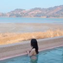 피치비치 이미지