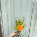 사파동369 이미지