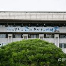영상으로 만나는 신데렐라 네이버블로그