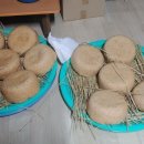 리메주 이미지