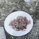진모식당 | [여수/돌산읍] 아침식사 가능한 현지인 강력 추천 백반 맛집 “진모식당” 후기