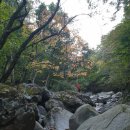 국골민박 이미지