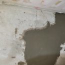 동정동010 이미지