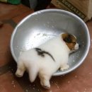고서문남자경로당 | 生きている愛すべき日々よ
