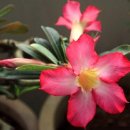 편안한쉼터 이미지