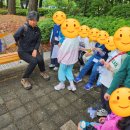 [마포푸르메어린이도서관 개관 9주년 기념] 책 읽는 부엉이의 숲 초대장 프로그램 후기