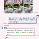 시안 | 서울 강남 웨딩 촬영 헤어변형 업체 추천, 시안 공유 (탁살롱 후기)
