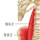 여성 질환과 요통에 하복부를..! 이미지