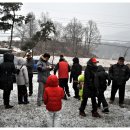 호야 달수 이미지