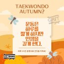 박종우태권도 이미지