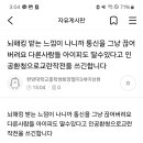 발리아쿠아랜드 이미지