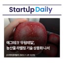 우림테일 티스토리