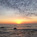 월드크리닝하우스 이미지