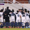 팀라이온 이미지