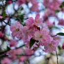 방아다리근린공원 이미지