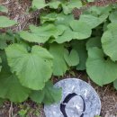 미래농장 이미지