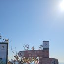 대광봉 정상 이미지