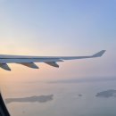 신태인시장(주차장-옥외) | [일본] 점심에 비행기표 끊고 저녁엔 나고야! 3박 즉흥여행기 (나고야 도심탐방 / 가볼만한 곳 )