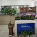 경남세탁소 | 마산역 인근/서마산 세탁소 추천 TOP 2: 월드크리닝 석전점 &amp; 그린세탁소