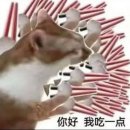 [먹보악귀]또보겠지떡볶이집 신사오후산책점 / 플라워 베이커리 후기 내돈내산 화장실믈리에