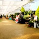 부자농약종묘사 이미지