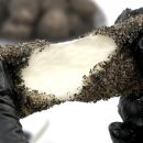 다원어린이집 이미지