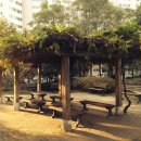 착한나무 이미지