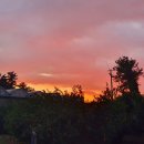 우주농장 이미지