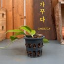 나를가꾸다
