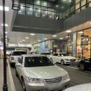 스퀘어 명품세탁 | 대구 수성구 &#39;피그말리온 슈케어&#39; 구찌 테니스화 뒤꿈치 복원 후기
