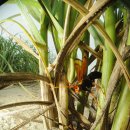 바닷가에서 이미지