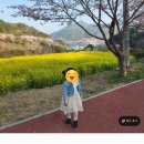 노량나루터 공원 이미지