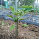 상훈네 농장 이미지