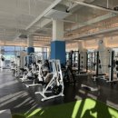 짐헥사곤 이미지