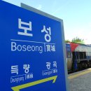 보성터미널앞 이미지