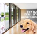 앤소프트 이미지