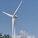 방아머리공원(솔밭) | [대부도] 바다향기 테마파크에서 스쿠터 타기 강추 | 방아머리해수욕장 | 솔밭우리밀칼국수