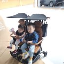 에이블 플러스 휴대용 유모차 쌍둥이 트라이크후기