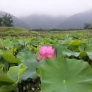 부천-중동-부천-080 이미지